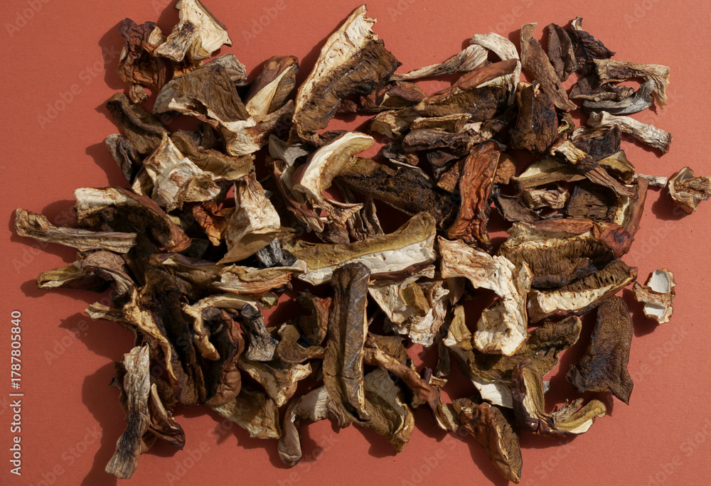 custom made wallpaper toronto digitalDried porcini mushrooms on a neutral surface. Minimalist modern food photography with hard light and strong shadows. Rustic organic concept,