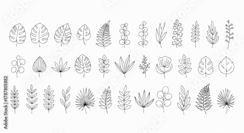 Botanical line art of tropical leaves, branches, and flowers on a white background