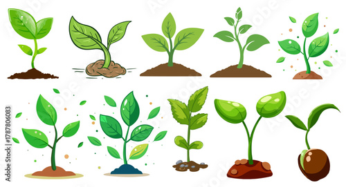 Green plant growth stages vector set. Young sprout, seedling, and sapling illustration for ecology, farming, gardening, sustainability, and nature design concepts.