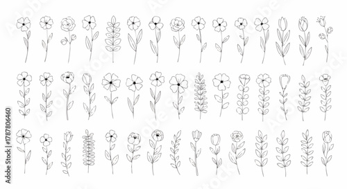 Collection of delicate hand-drawn floral illustrations with simple line art style