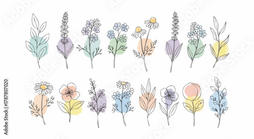 Collection of minimalist, hand-drawn botanical line art illustrations featuring various wildflowers and foliage with soft pastel watercolor accents