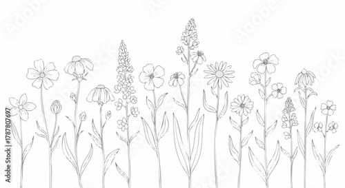 Delicate black and white line art illustration featuring a border of various wild meadow flowers and botanical elements suitable for coloring pages or clean design