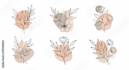 Elegant floral vector set with botanical line art. These minimalist flower drawings create a decorative spring design on an abstract background