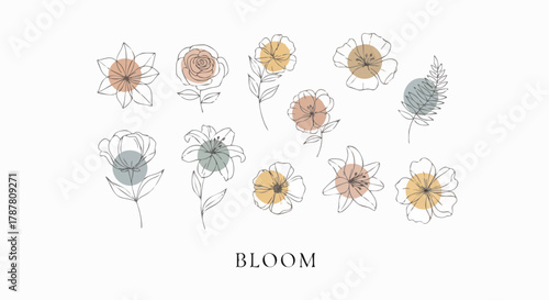 Elegant line art floral collection with abstract pastel circles. Delicate botanical illustrations evoke nature, growth, and beauty
