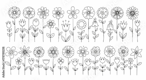 Hand drawn flower vector set. A collection of cute, simple outline floral elements, perfect for design borders, coloring pages, or patterns