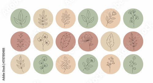 Hand-drawn botanical illustrations arranged in colorful circles