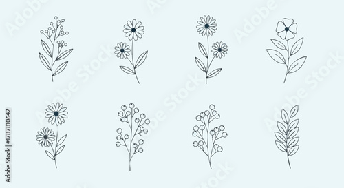 Hand-drawn botanical illustrations. Set of flowers, leaves, and berries in a minimalist, line art style