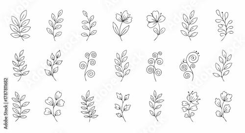 Hand-drawn line art floral elements vector illustration. Simple, minimal and decorative botanical design