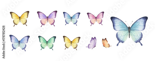 A captivating collection of  butterflies, each uniquely detailed and vibrantly colored. Perfect for enhancing nature-themed designs, decor, or creative projects.