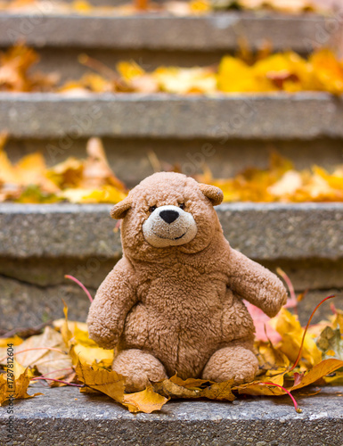 A soft toy teddy bear sits on the steps among autumn leaves