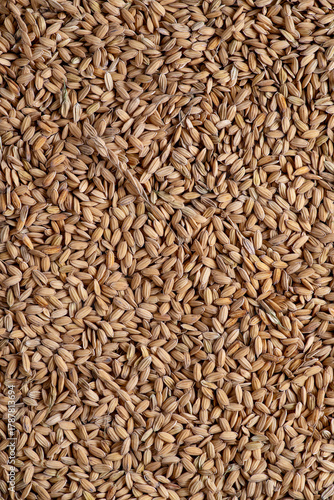 Background composed of grains of raw rice.