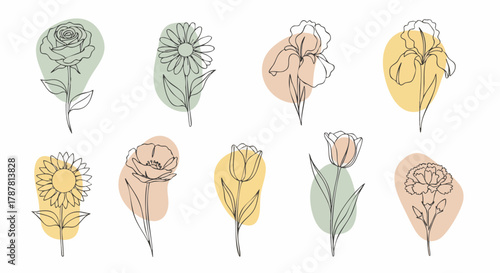 Minimalist line art flowers with soft pastel abstract shapes