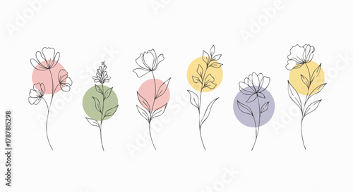 Set of six minimalist line art botanical illustrations featuring delicate flowers and leaves with soft pastel color circles