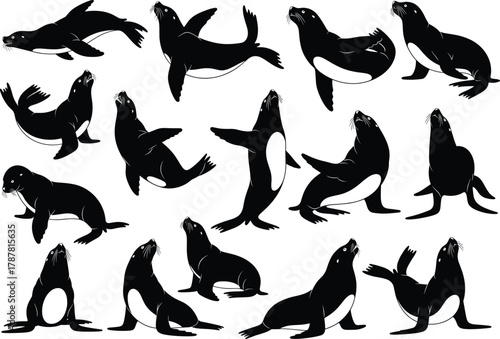 Sea lion and seal silhouette vector illustration pack, marine wildlife animals in various poses, swimming, resting, playing, aquatic ocean nature design art