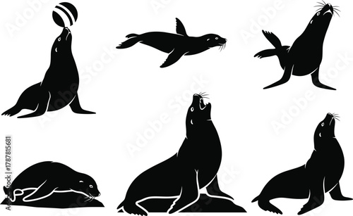 Sea lion and seal silhouette vector illustration set, marine animal collection design, swimming, resting, performing poses, wildlife ocean creature art, SVG graphics