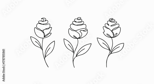 Three minimalist flowers drawn in a continuous one-line art style, isolated on a clean white background