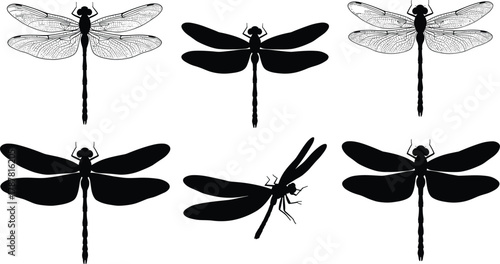Set of dragonfly silhouette vector illustrations, detailed insect wings and body shapes collection, black flying dragonflies design, nature wildlife concept graphics