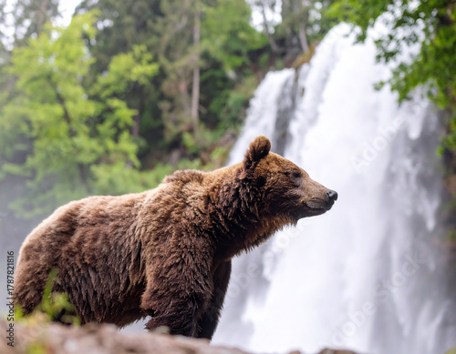 Portrait image of brown bear standing at the top of waterfall. surrounded by lush green trees. 