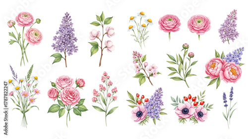 A collection of watercolor illustrations featuring various spring and summer flower bouquets and branches, including ranunculus, lilac, cherry blossoms, daisies, peonies, and lavender.