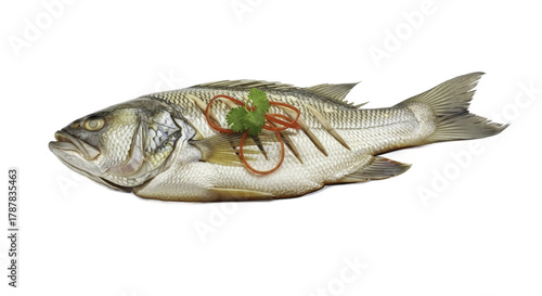 Grilled Fish Dish Garnished with Chili and Herb on Neutral Backdrop