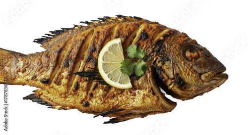 Grilled Fish with Lemon Slice and Herbs on a Gradient Brown Background