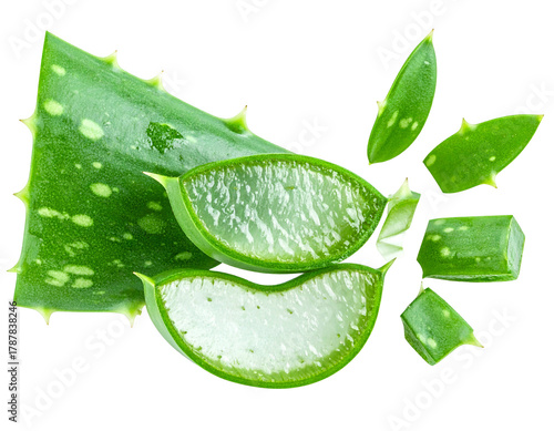 Wallpaper Mural Fresh green aloe vera slices and leaves, wet, with dark background Torontodigital.ca