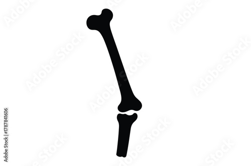 Human femur thigh bone silhouette vector illustration design on white background