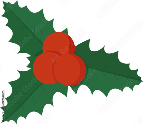 크리스마스 장식