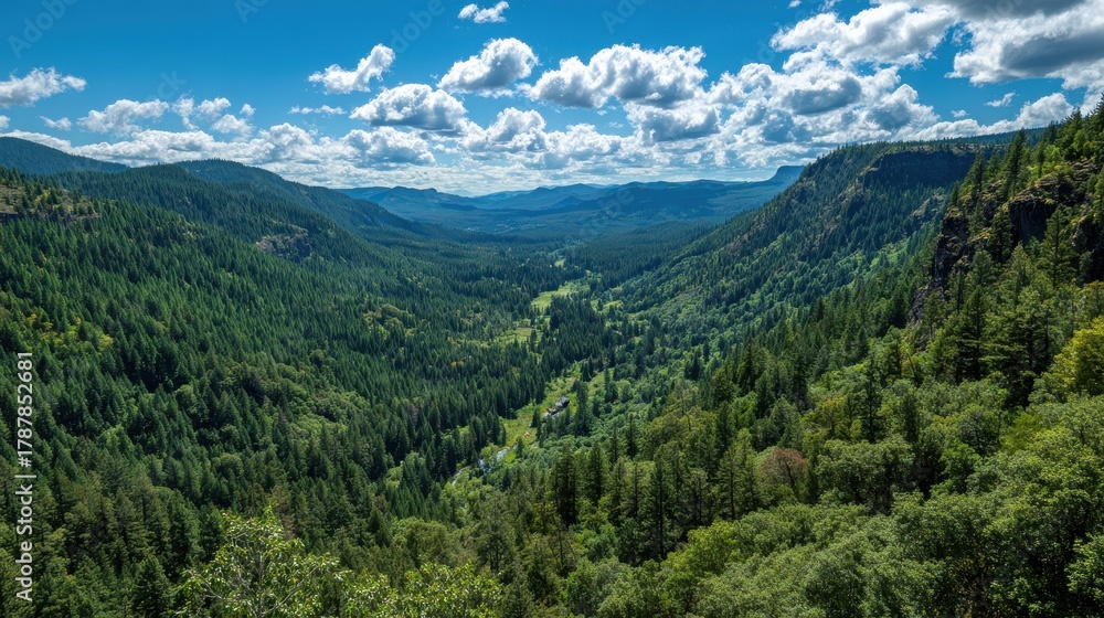 Fototapeta premium A lively valley with dense greenery beneath a clear blue sky