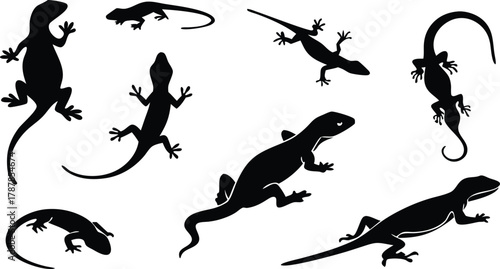 Dynamic lizard silhouettes capture swift motion and reptilian grace, perfect for nature and science designs