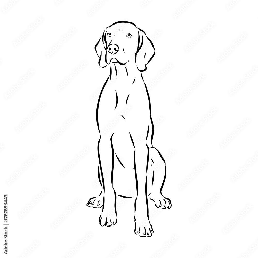 Fototapeta premium Hungarian doll, dog, vector sketch