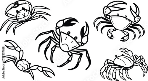 Dynamic collection of playful crabs showcasing various poses and lively energy, perfect for nautical and seaside themes