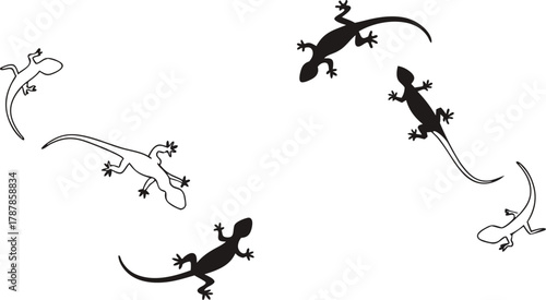 Dynamic gecko silhouettes evoke agility and natural wonder, perfect for vibrant designs and educational content.
