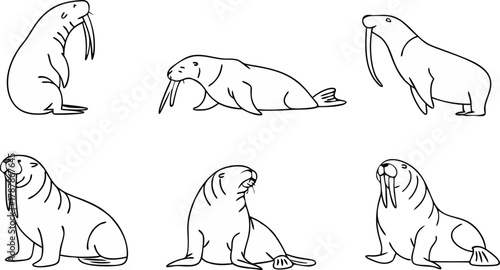 Charming collection of playful walrus illustrations in various poses, perfect for engaging educational or decorative projects