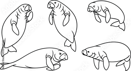Gentle manatees gracefully swim and float in various playful poses, capturing serene aquatic life and marine mammal charm.