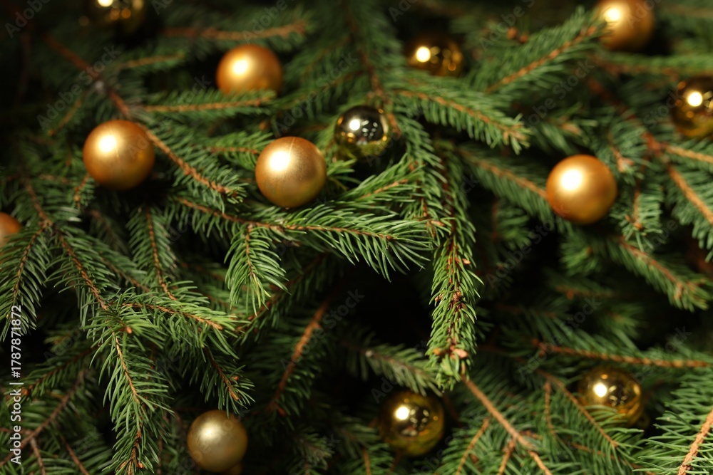 Fototapeta premium Beautiful spruce tree branches with Christmas ornaments as background, closeup
