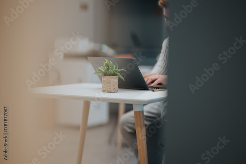 Wallpaper Mural A clean, modern office scene shows a person typing on a laptop at a white desk, with a small potted plant adding a touch of nature. Calm, productive workspace perfect for business or remote work. Torontodigital.ca