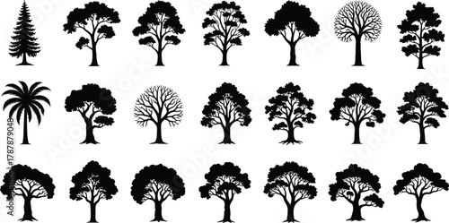 Tree silhouette collection with various forest species, black and white botanical illustration, nature vector design elements, landscape tree shapes for outdoor