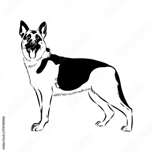 Eastern European shepherd, vector sketch