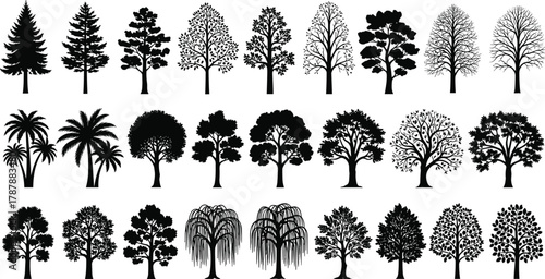 Tree silhouette collection with various botanical species, black and white nature vector illustration, forest landscape design elements, detailed tree shapes for outdoor artwork and decoration