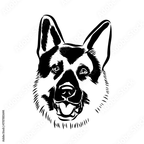 Eastern European shepherd, vector sketch
