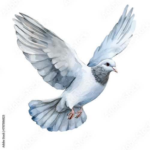 Painted in watercolor, this artistic dove bird features a clean composition, hand-drawn with elegance, isolated on white, vector EPS. fruits vectorized