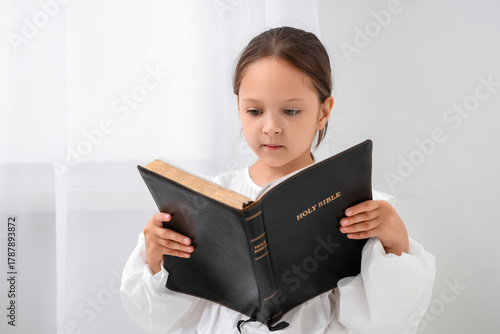 Cute little girl reading Ho...