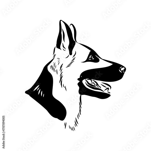 Eastern European shepherd, vector sketch