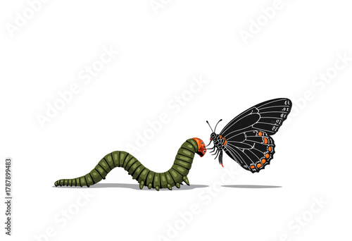Illustration of a Caterpillar Meeting a Butterfly Displaying Transformation and the Cycle of Life with Vivid Colors and Clear Contrast on a Simple White Background
