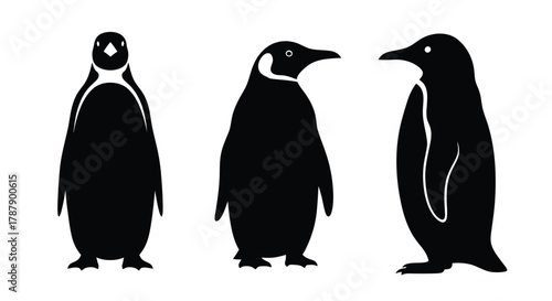 Photography Three adorable penguins depicted in a simple black and white design