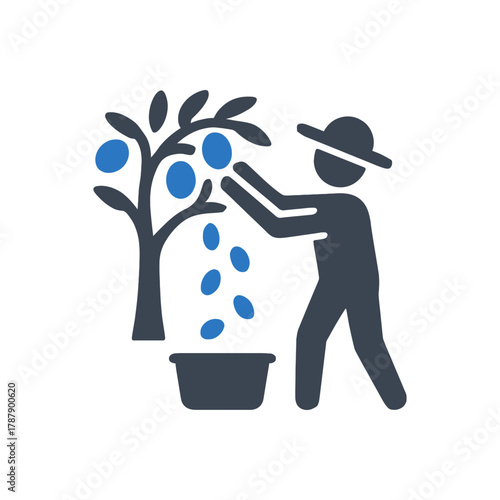 Farmer Harvesting Fruit icon