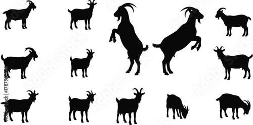Goat silhouette, grazing pose, standing animal, rearing goat, wild livestock, black vector, nature icon, farm creature, flat illustration, design