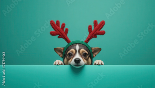 Adorable chihuahua dog wearing reindeer antlers headband looking over green background, cute christmas pet portrait concept, funny festive animal with copy space
