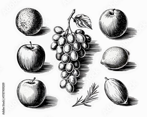 Vintage illustration of assorted fruits and herbs in black and white